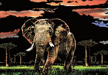 Raaputuskuva Elephant
